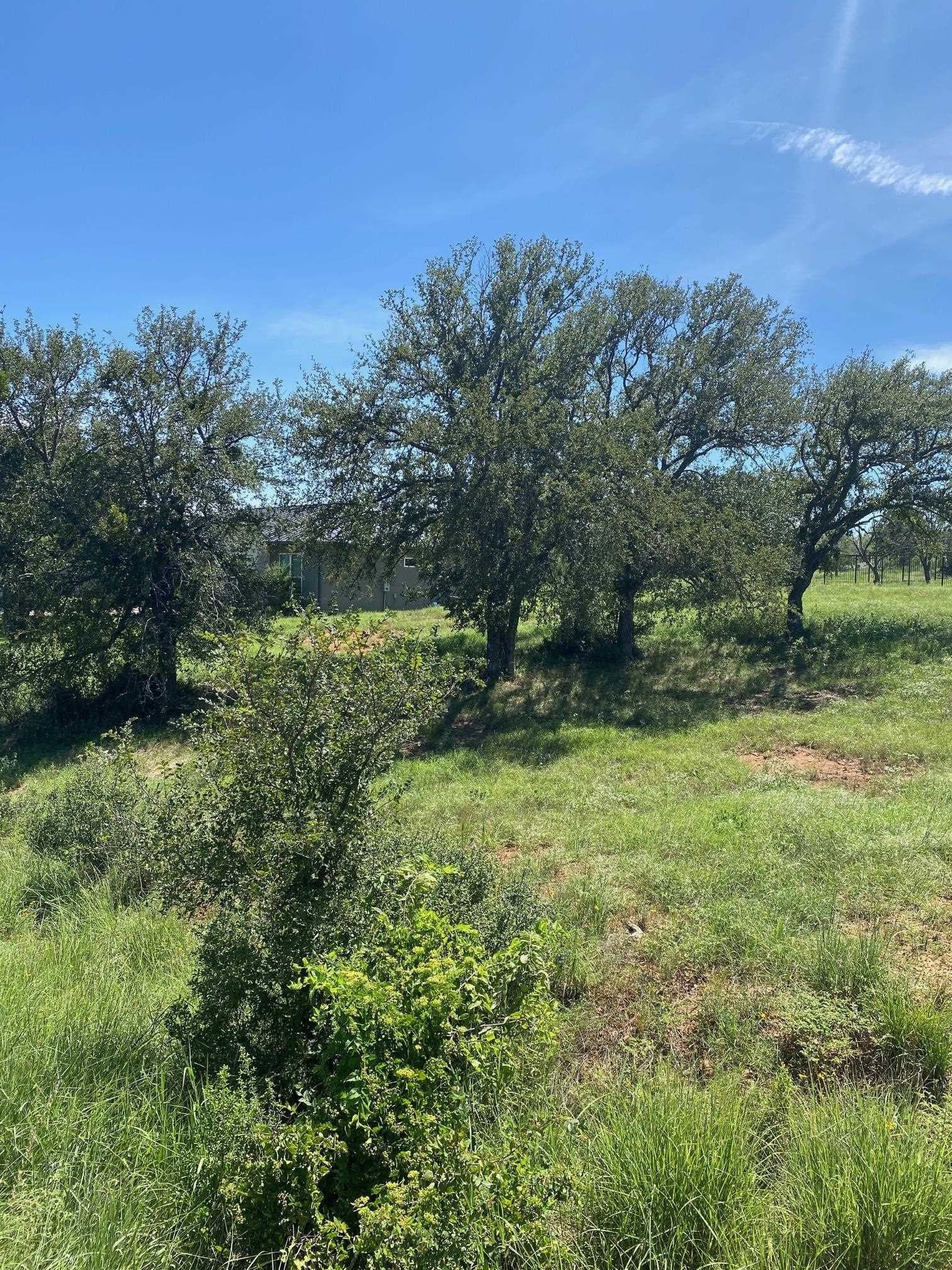 0.37 acres in Llano County gallery image 4