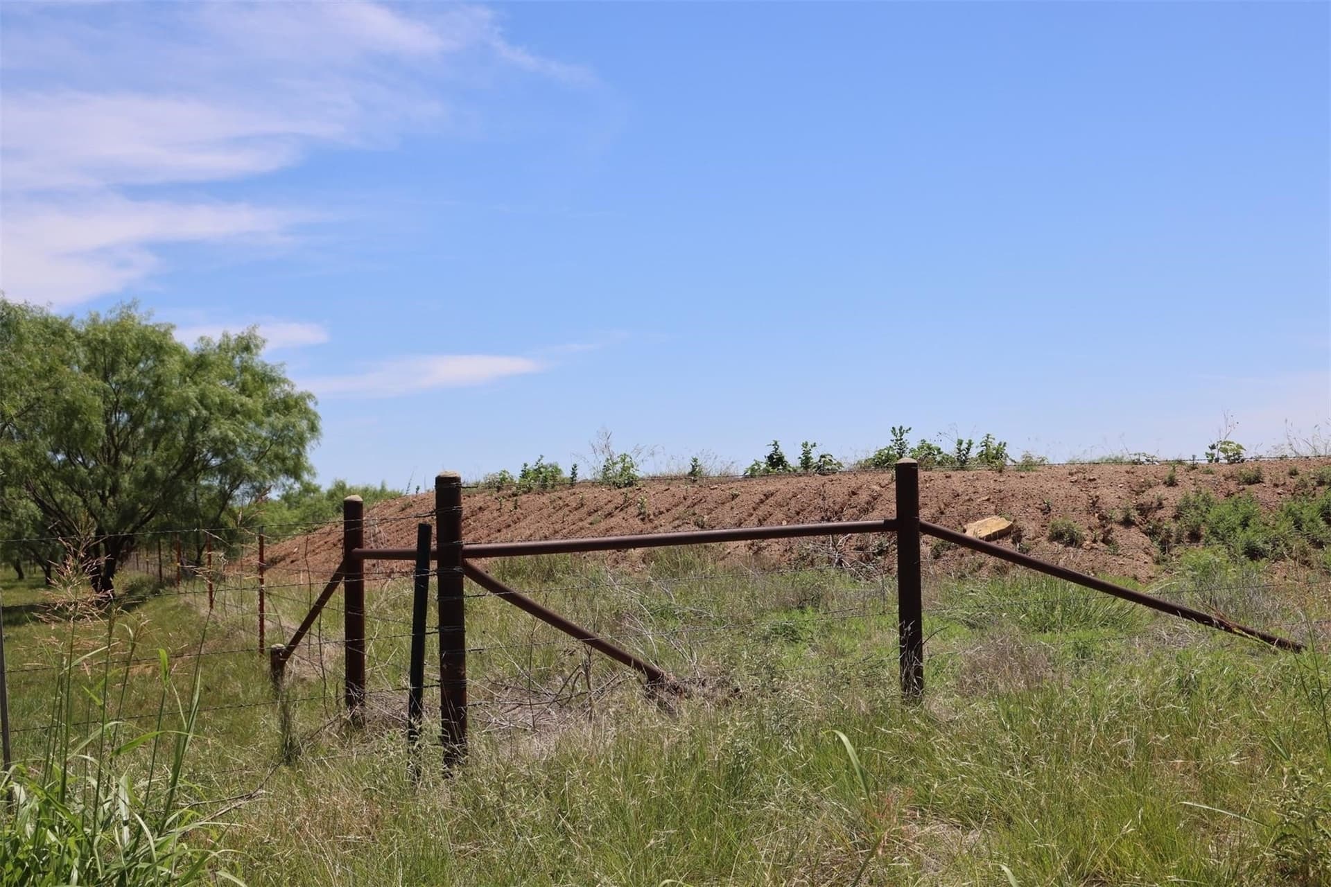 13 acres in Throckmorton County - photo 14