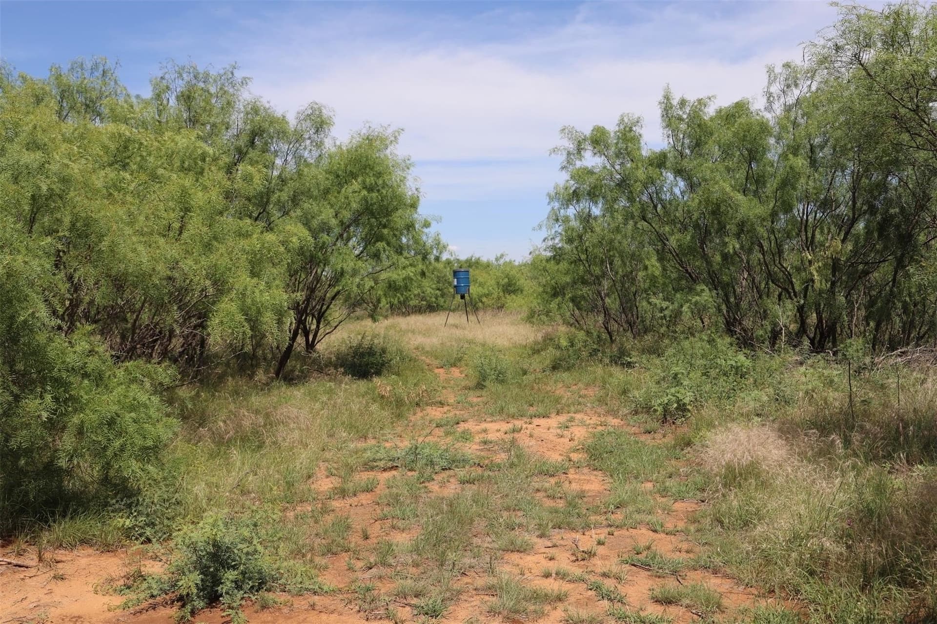 13 acres in Throckmorton County - photo 16