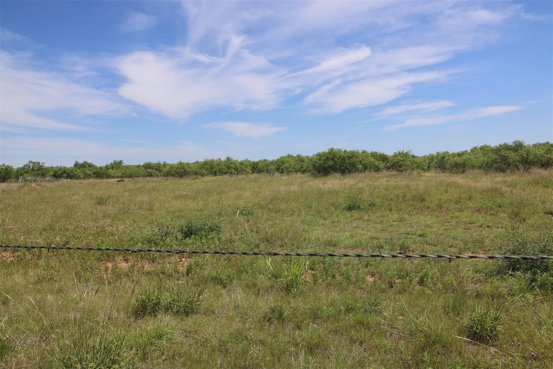 13 acres in Throckmorton County - photo 12