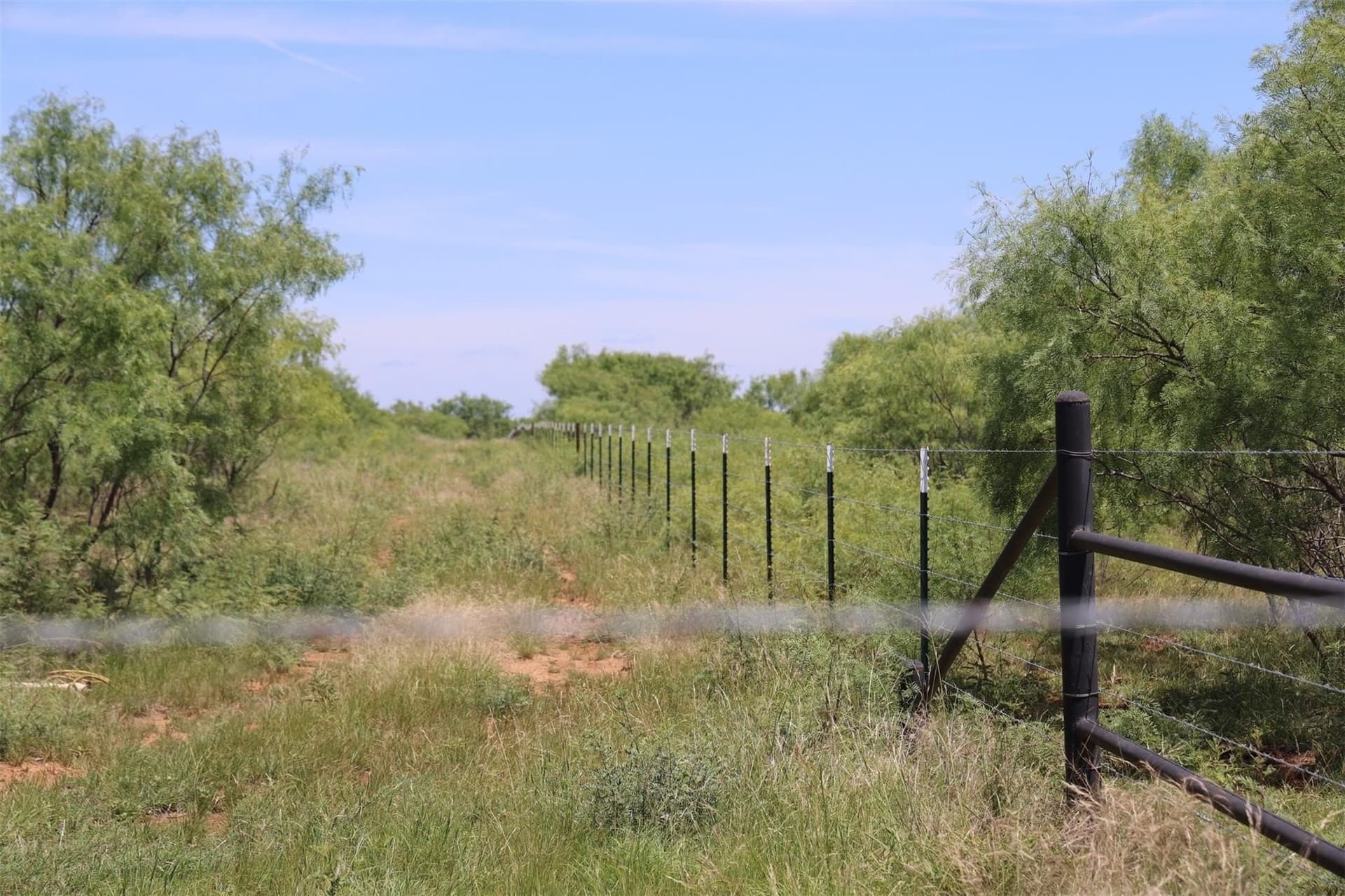 13 acres in Throckmorton County - photo 19