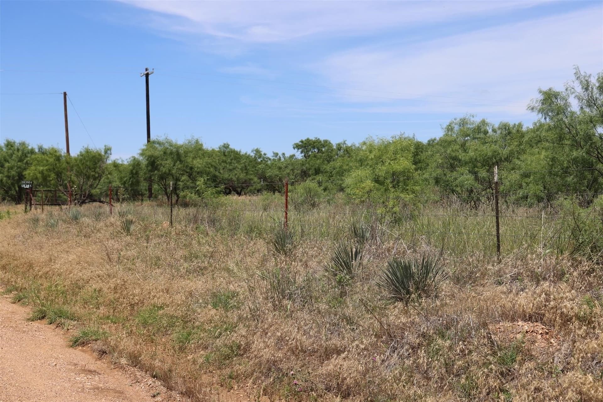 13 acres in Throckmorton County - photo 9