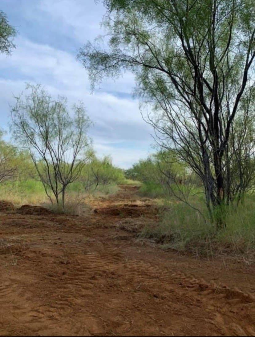 13 acres in Throckmorton County - photo 17