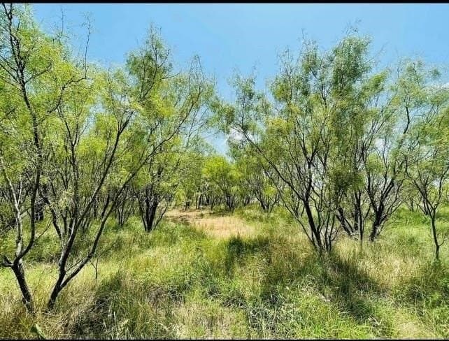 13 acres in Throckmorton County
