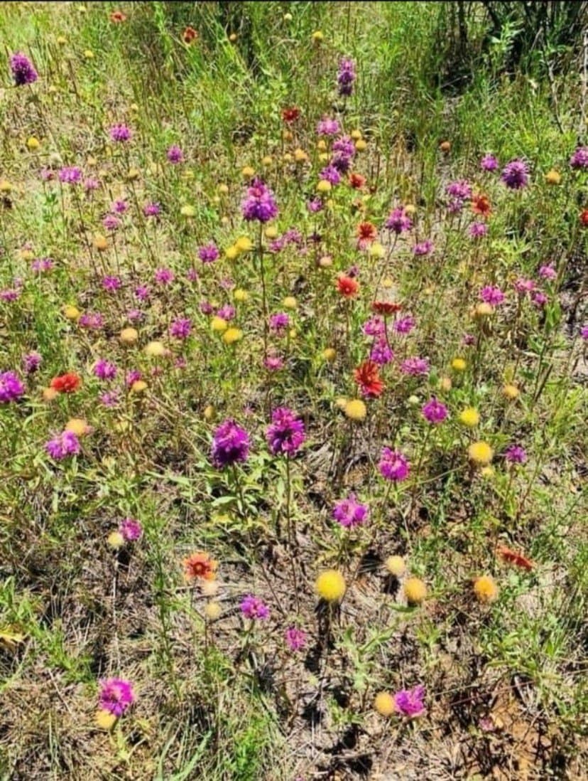 13 acres in Throckmorton County - photo 24
