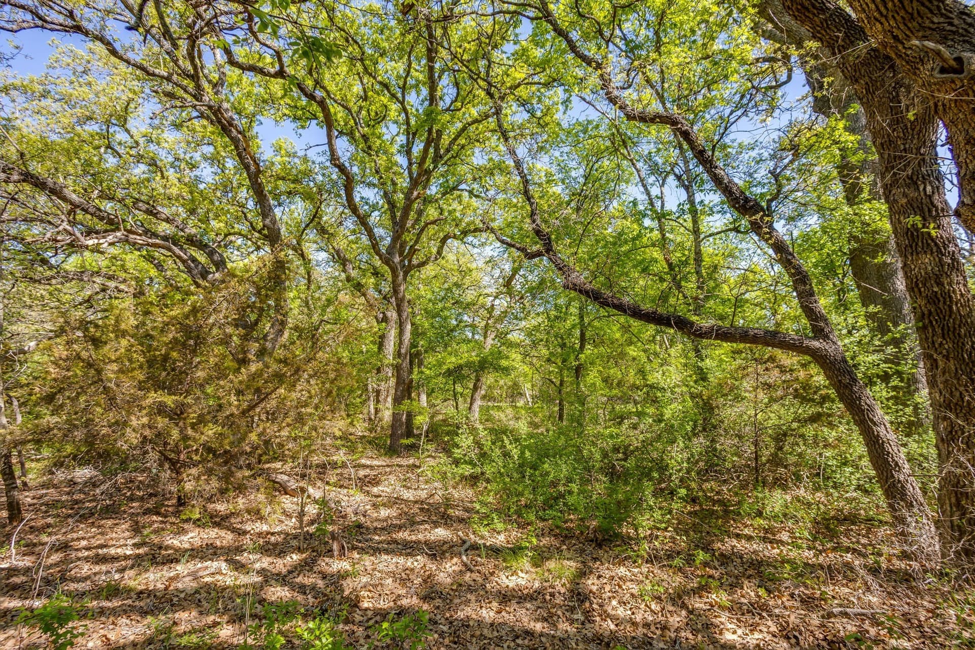97.71 acres in Jack County - photo 9