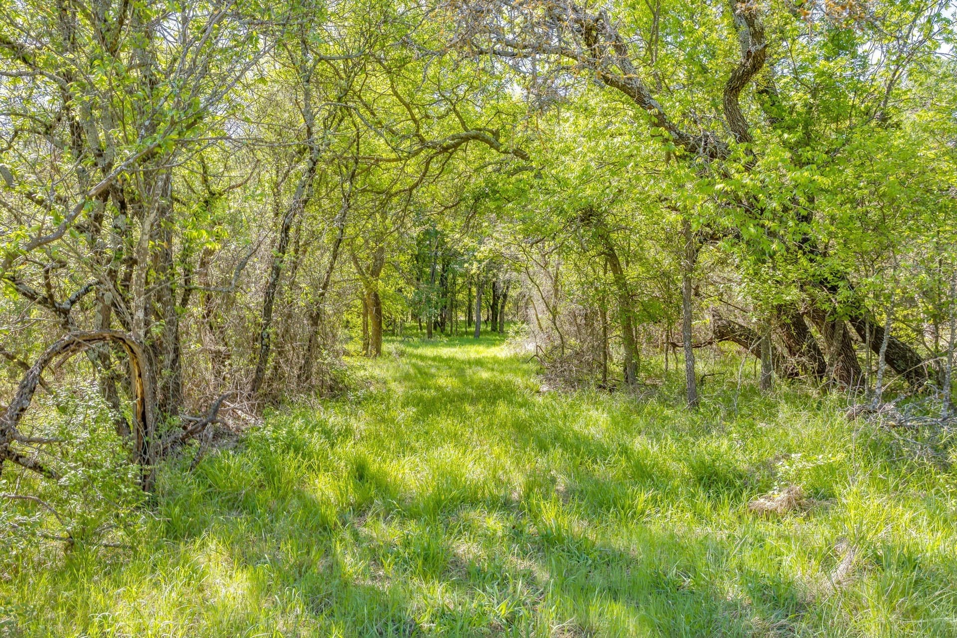 97.71 acres in Jack County - photo 10