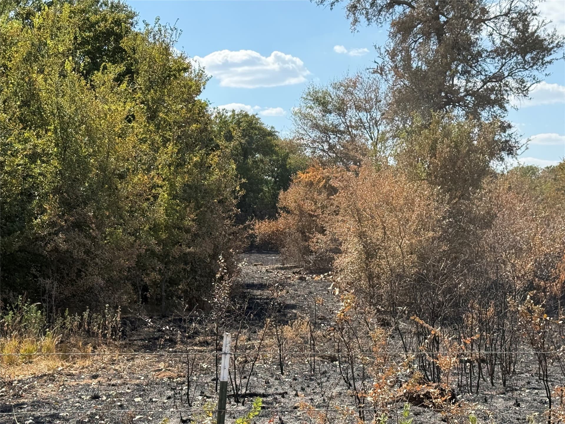 97.71 acres in Jack County - photo 2