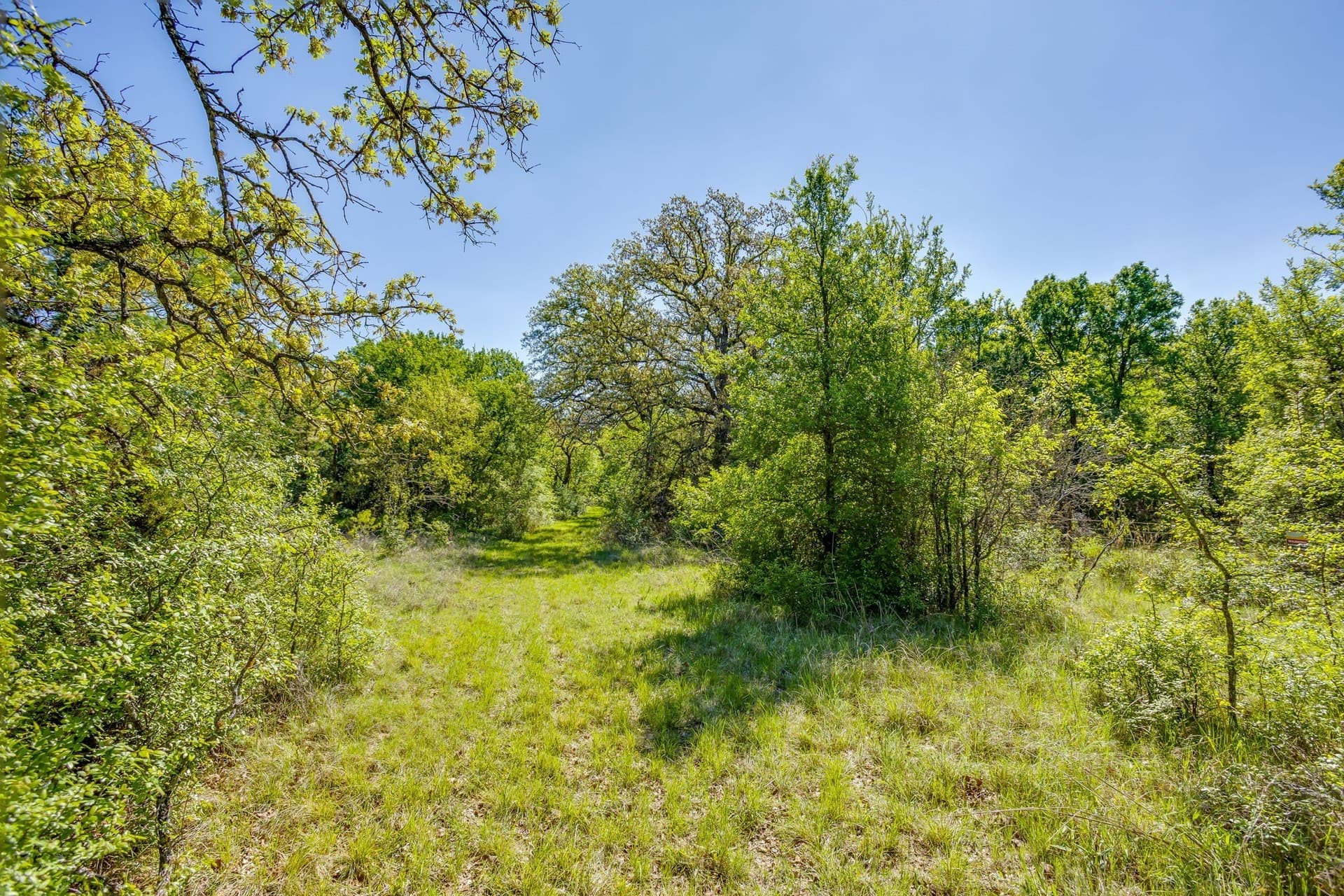 97.71 acres in Jack County - photo 33