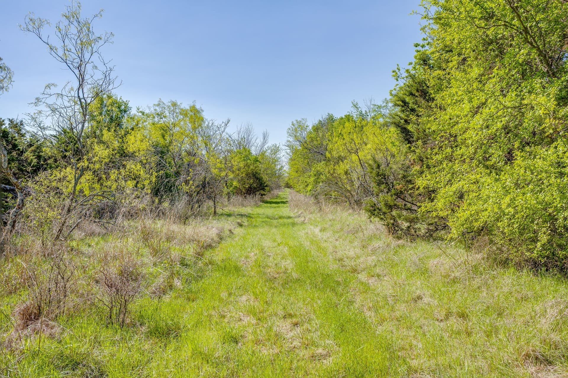 97.71 acres in Jack County - photo 30
