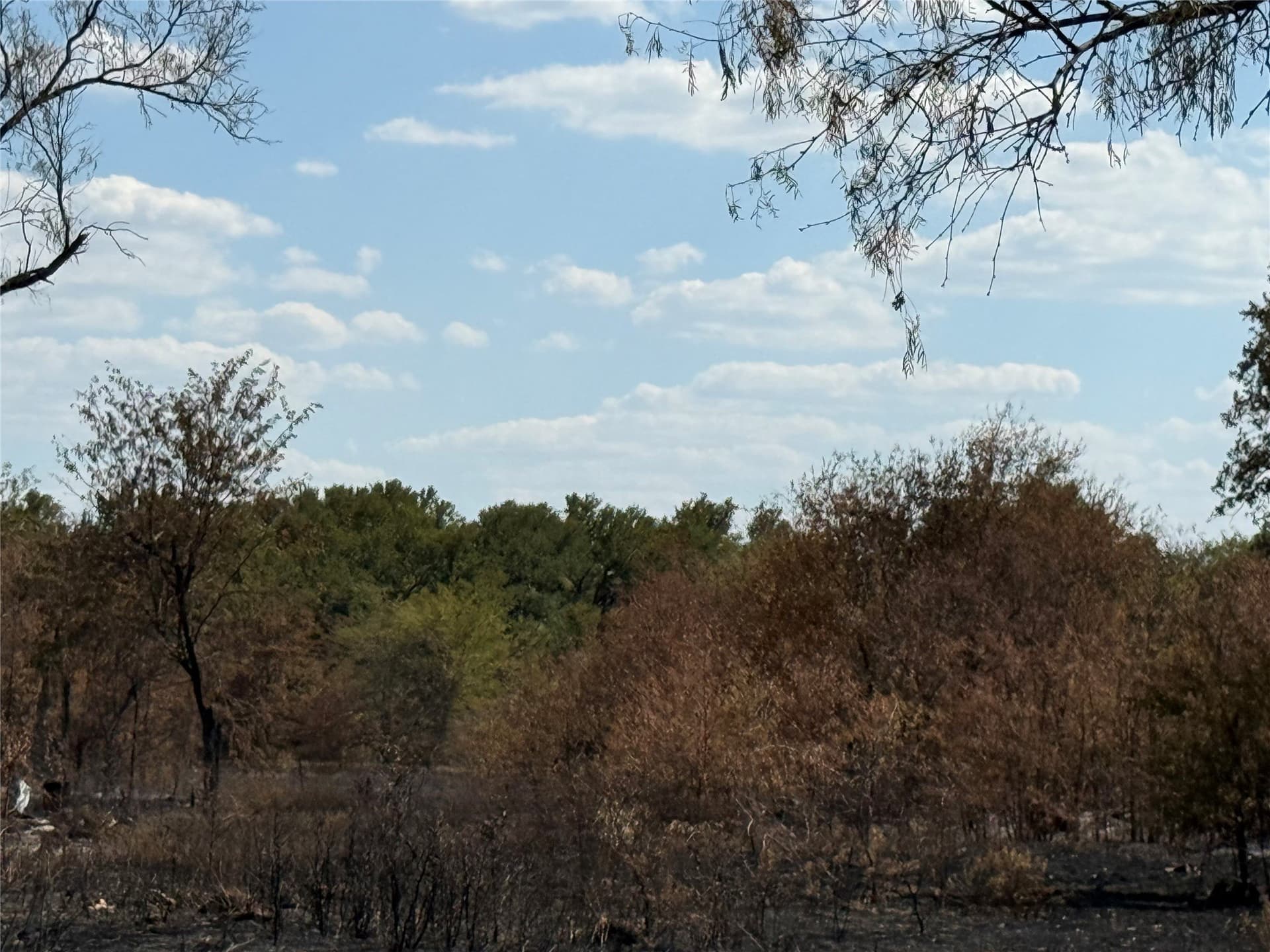97.71 acres in Jack County - photo 3