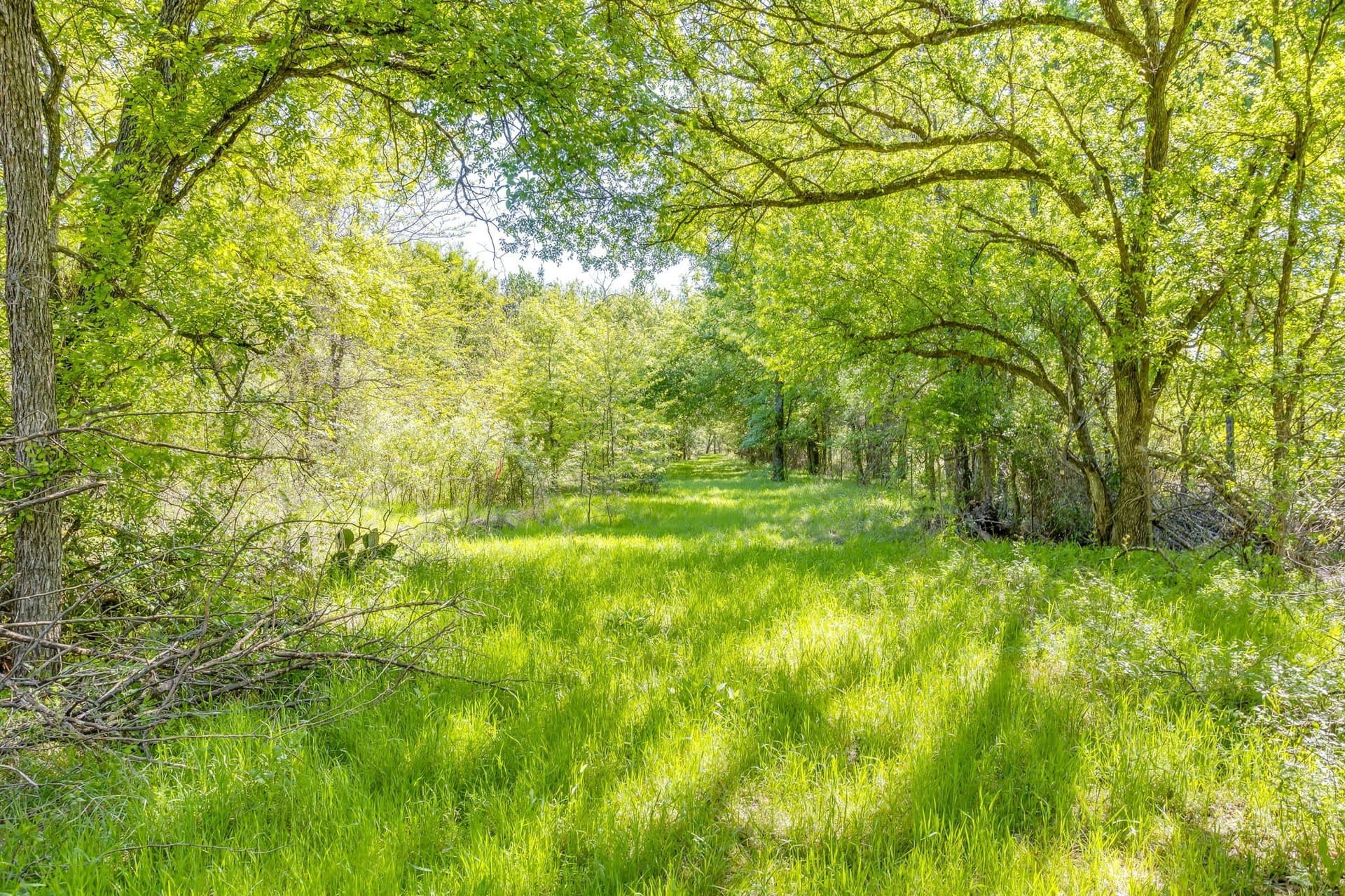 97.71 acres in Jack County - photo 11