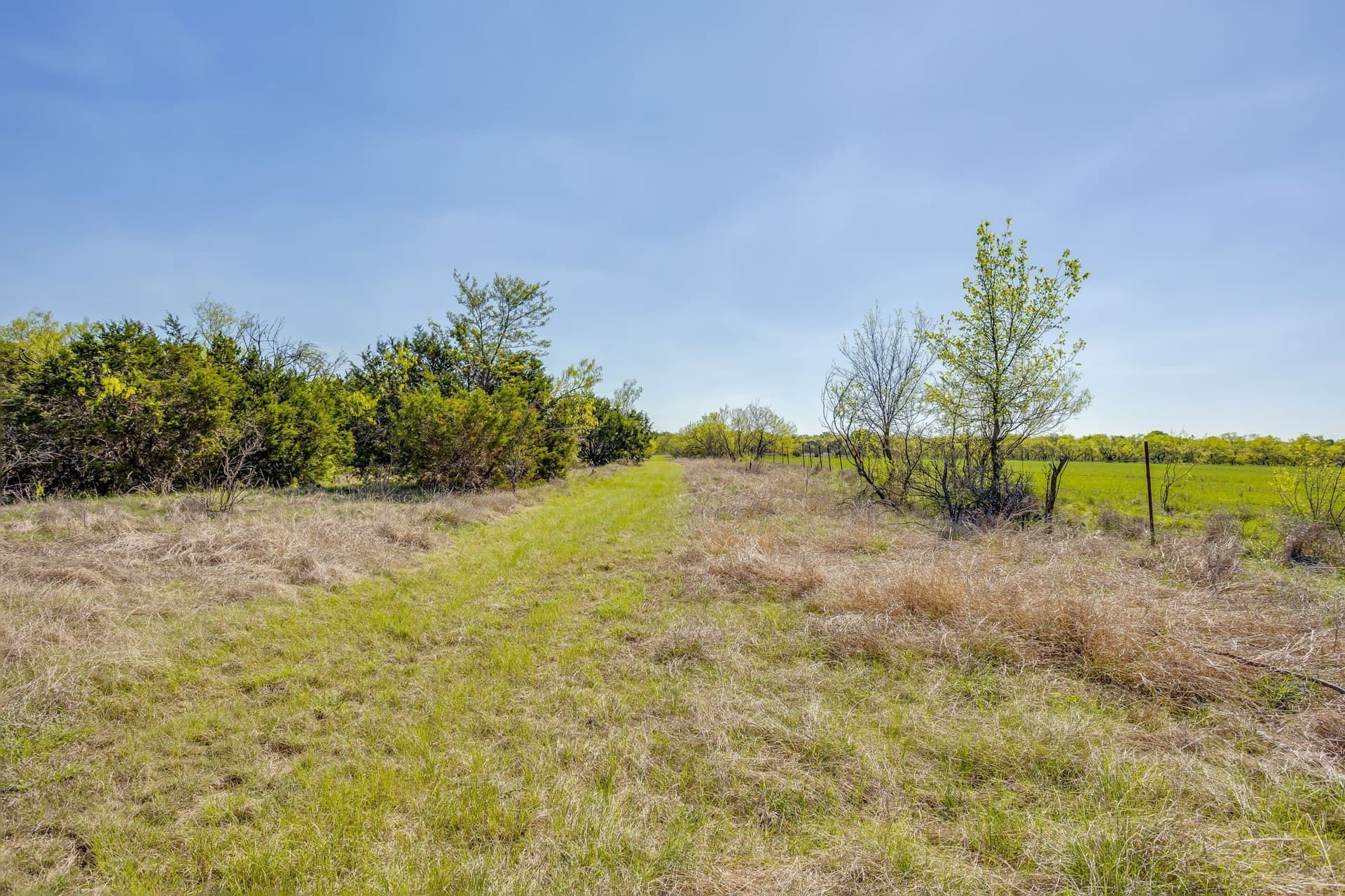 97.71 acres in Jack County - photo 31