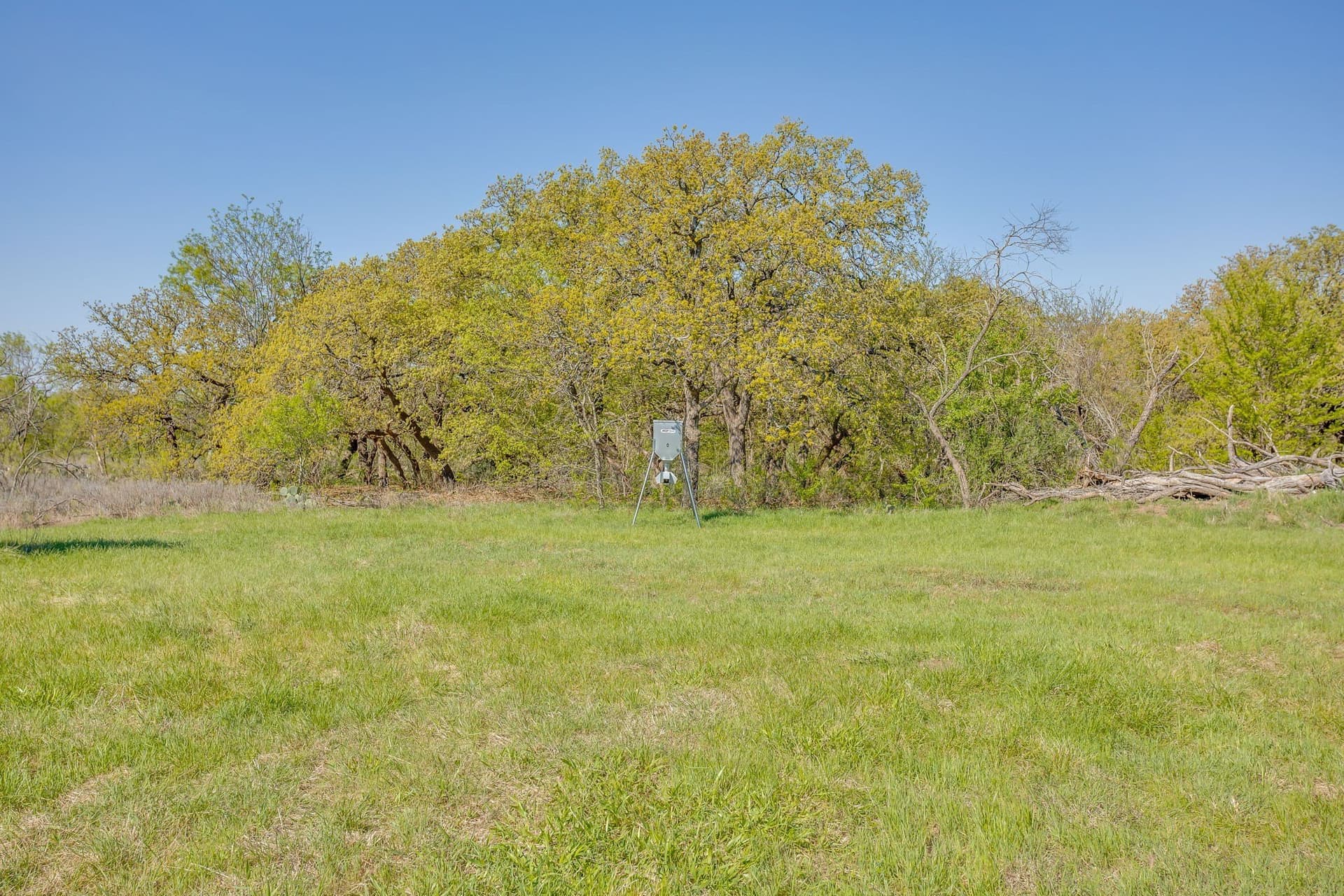 97.71 acres in Jack County - photo 28