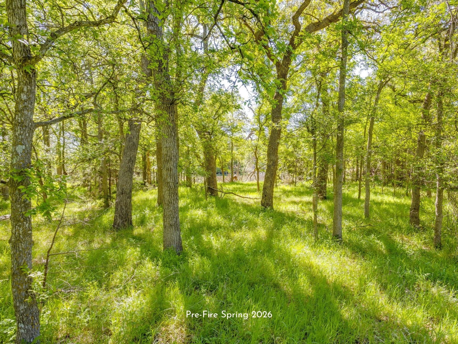 97.71 acres in Jack County - photo 7