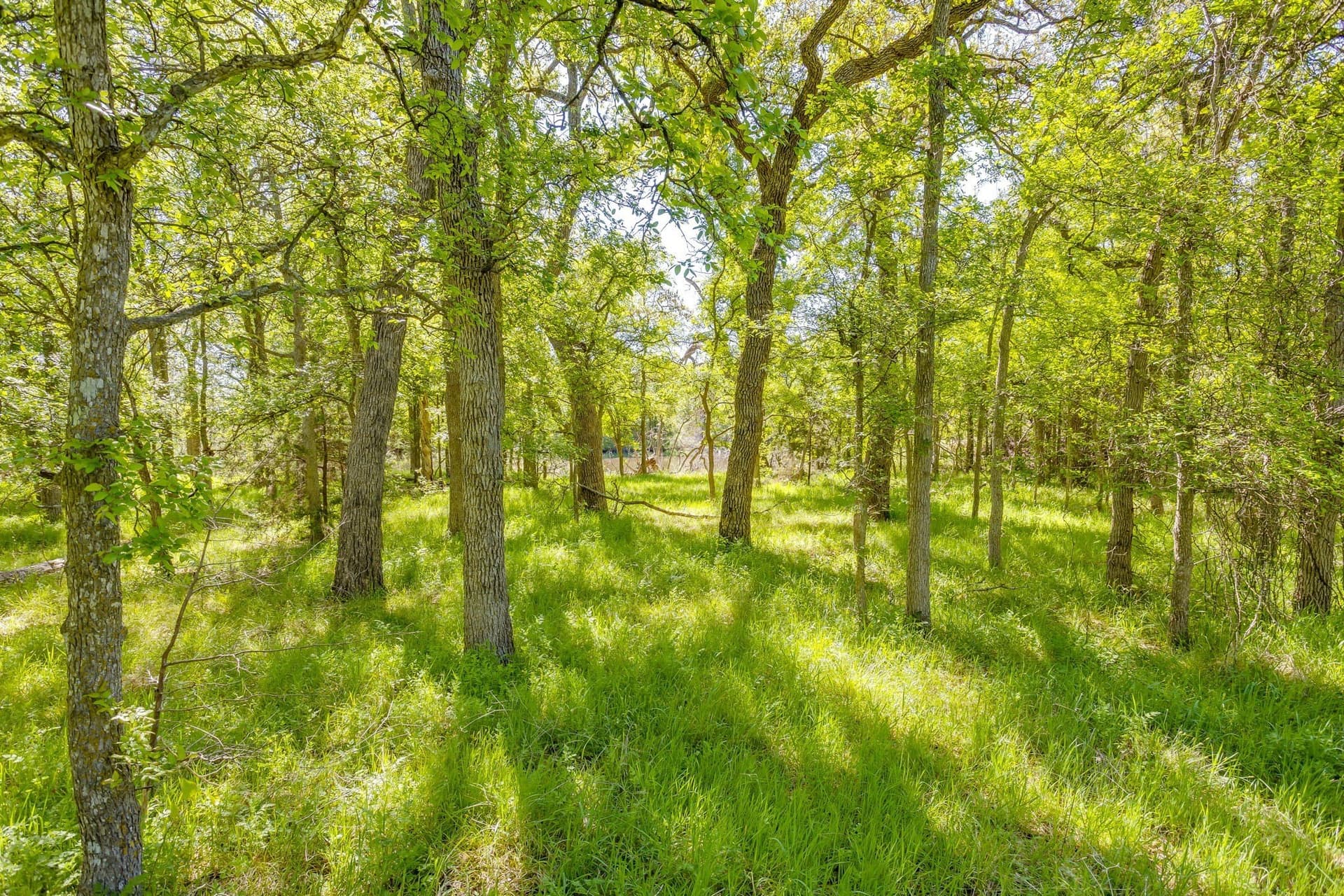 97.71 acres in Jack County - photo 2