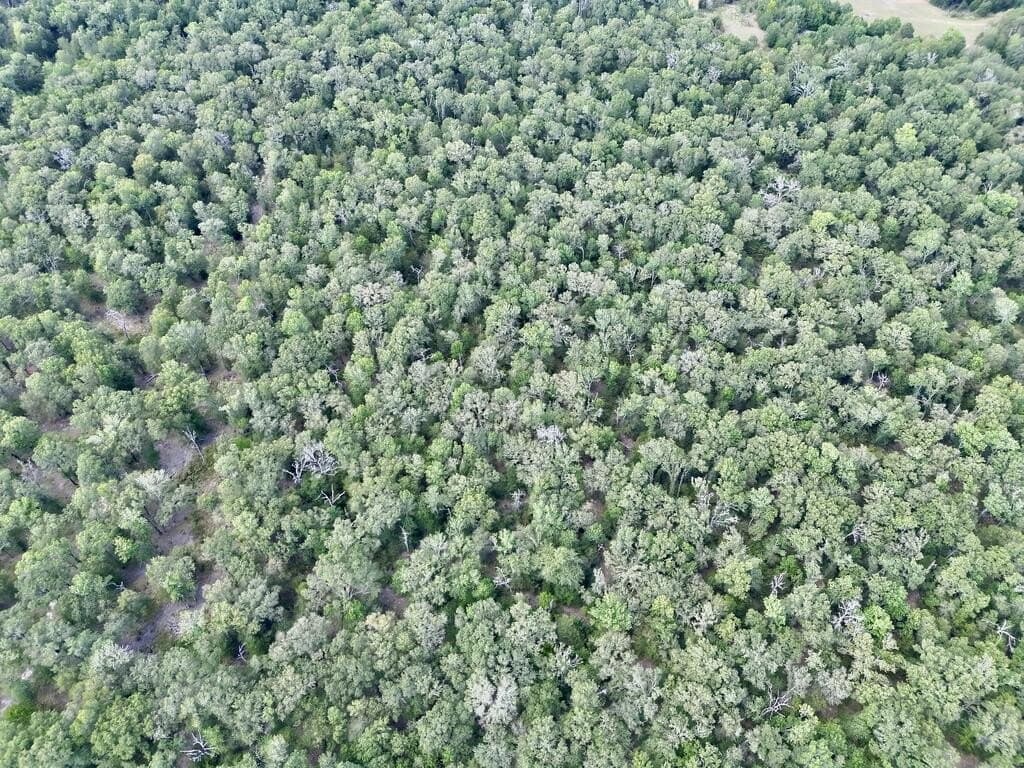 20 acres in ANDERSON County - photo 7