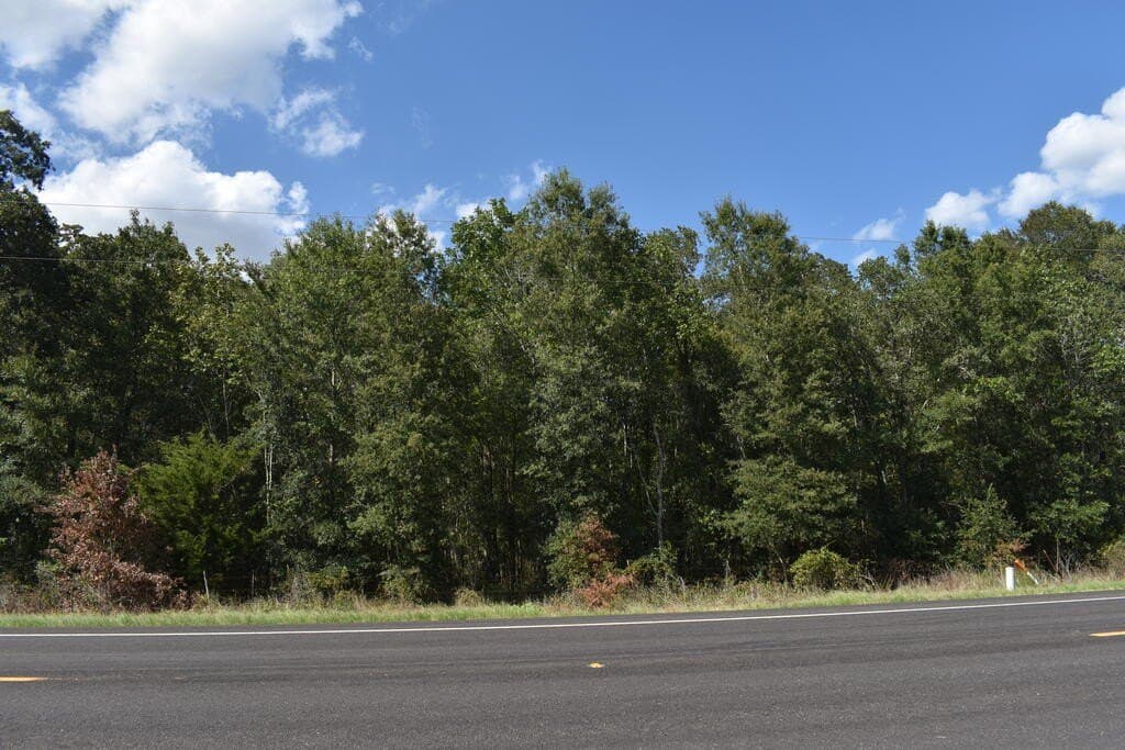 20 acres in ANDERSON County - photo 6