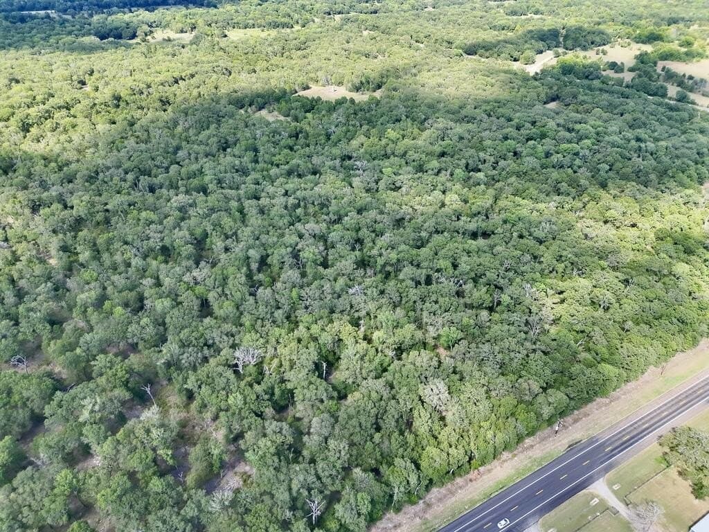 20 acres in ANDERSON County - photo 11
