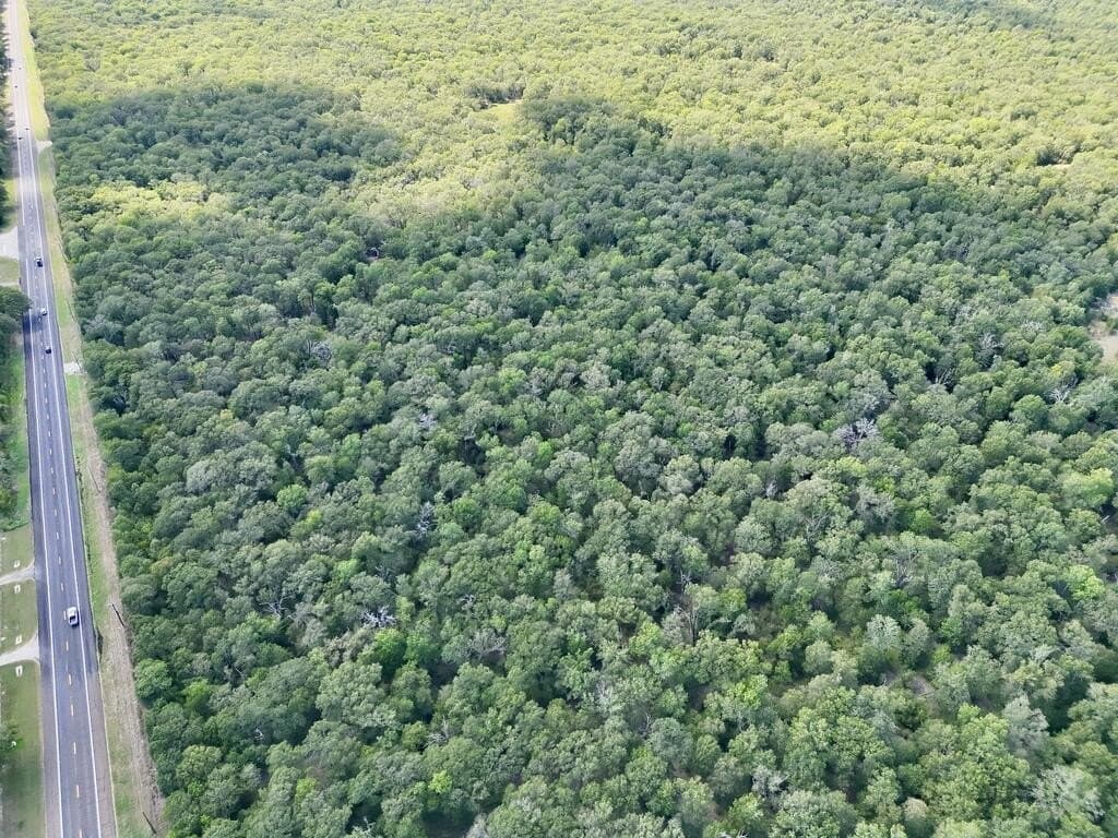 20 acres in ANDERSON County - photo 10