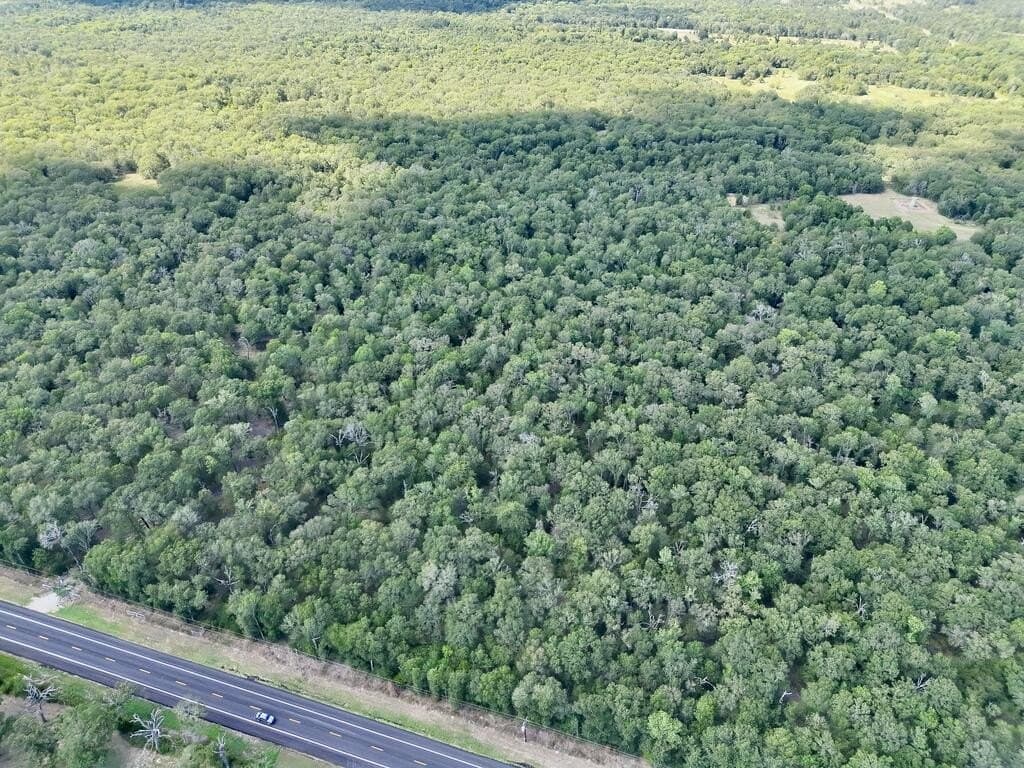 20 acres in ANDERSON County - photo 5