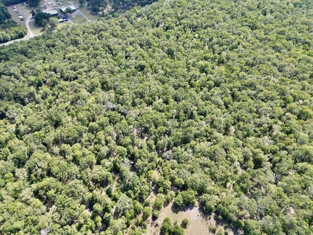 20 acres in ANDERSON County - photo 4