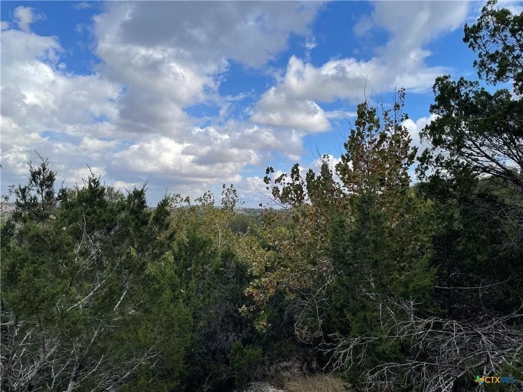 0.62 acres in Coryell County featured view