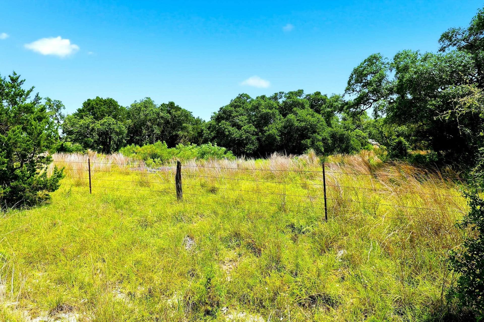 10 acres in Burnet County - photo 30