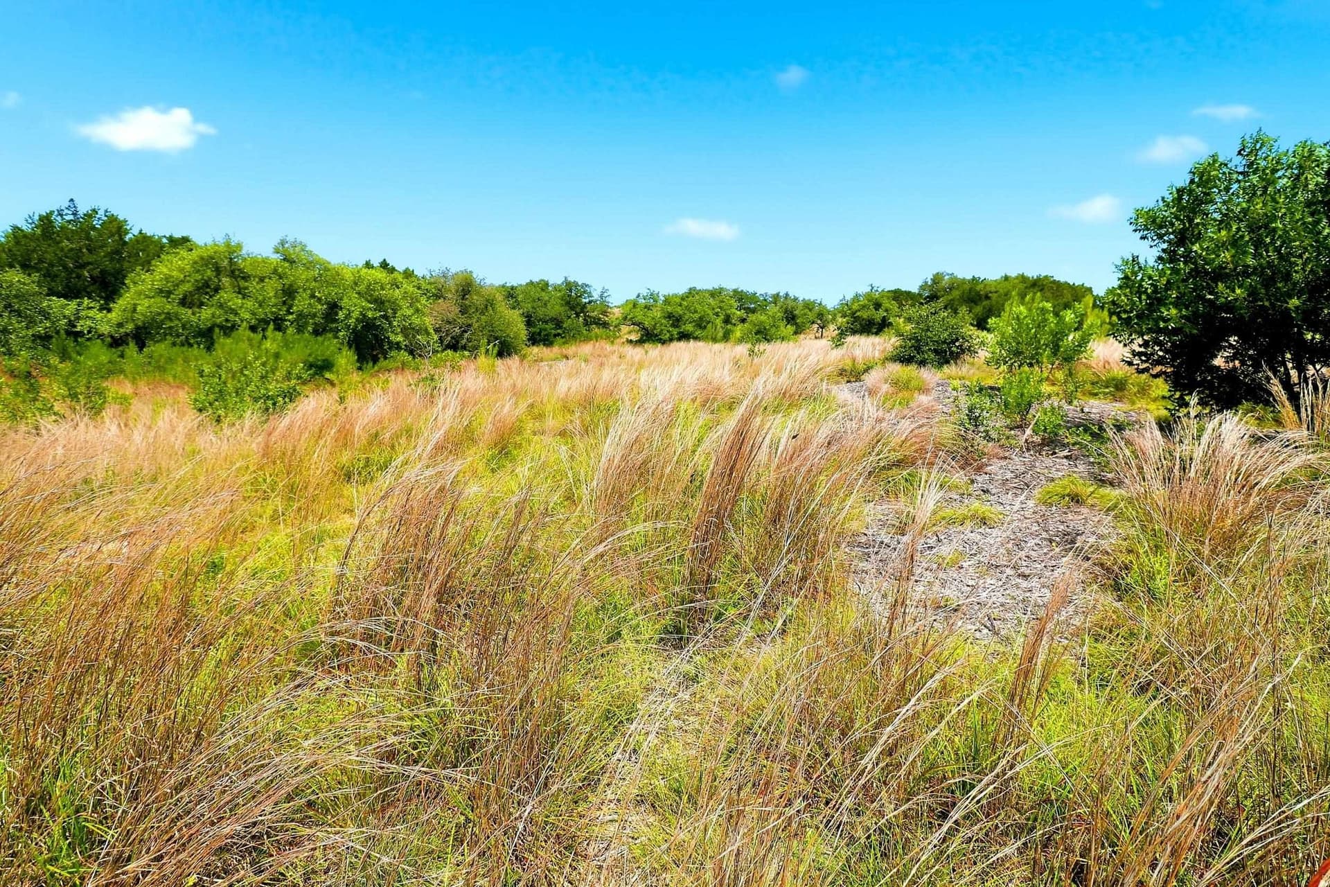 10 acres in Burnet County - photo 20