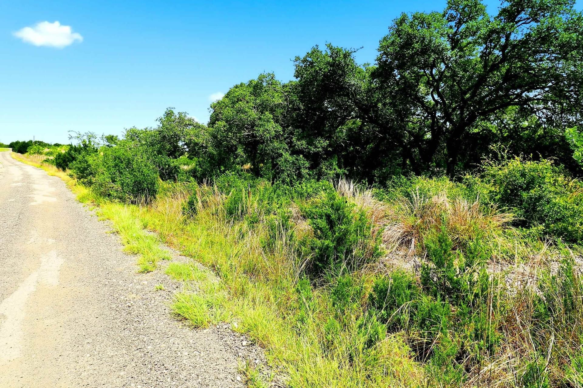 10 acres in Burnet County - photo 28