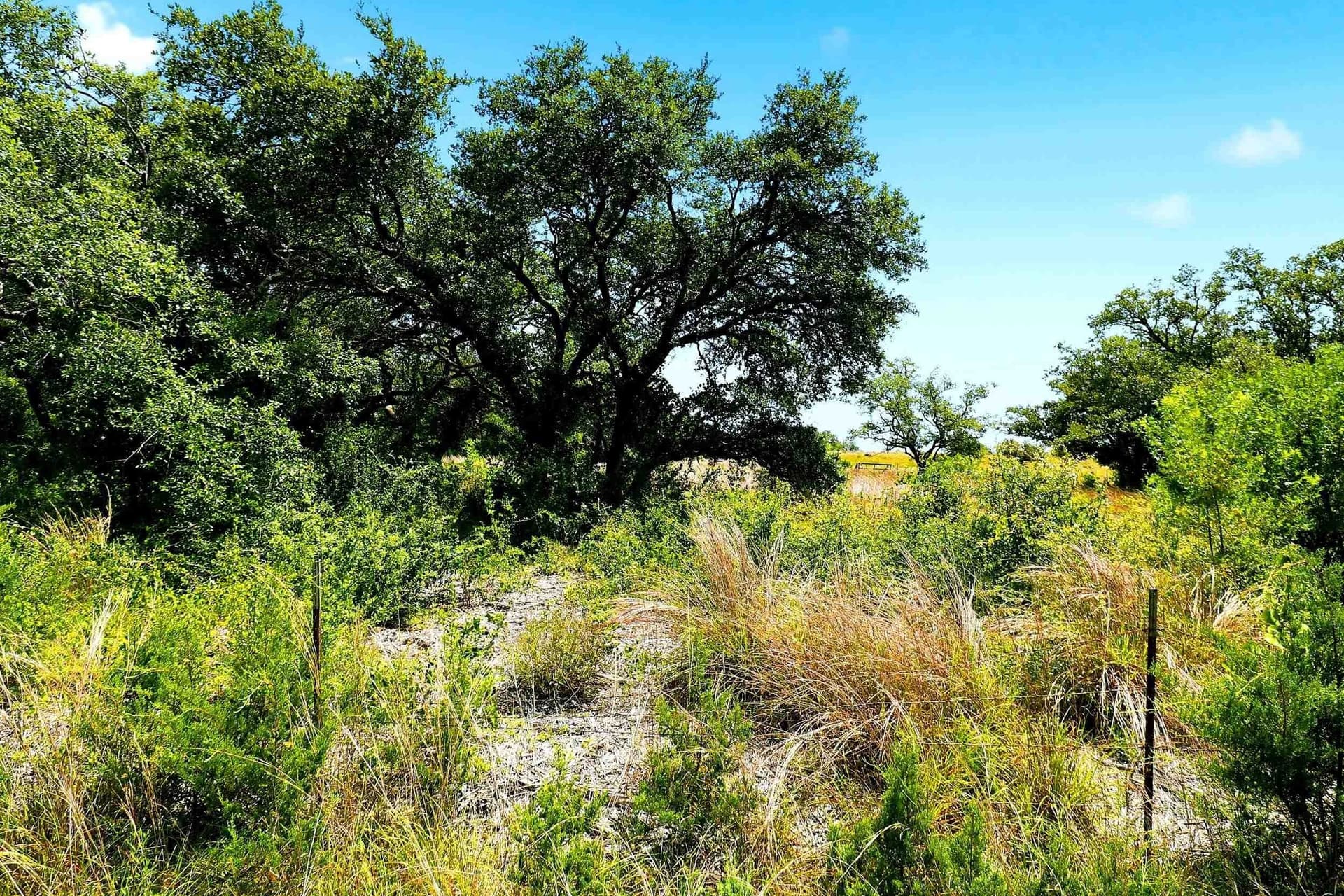10 acres in Burnet County - photo 29