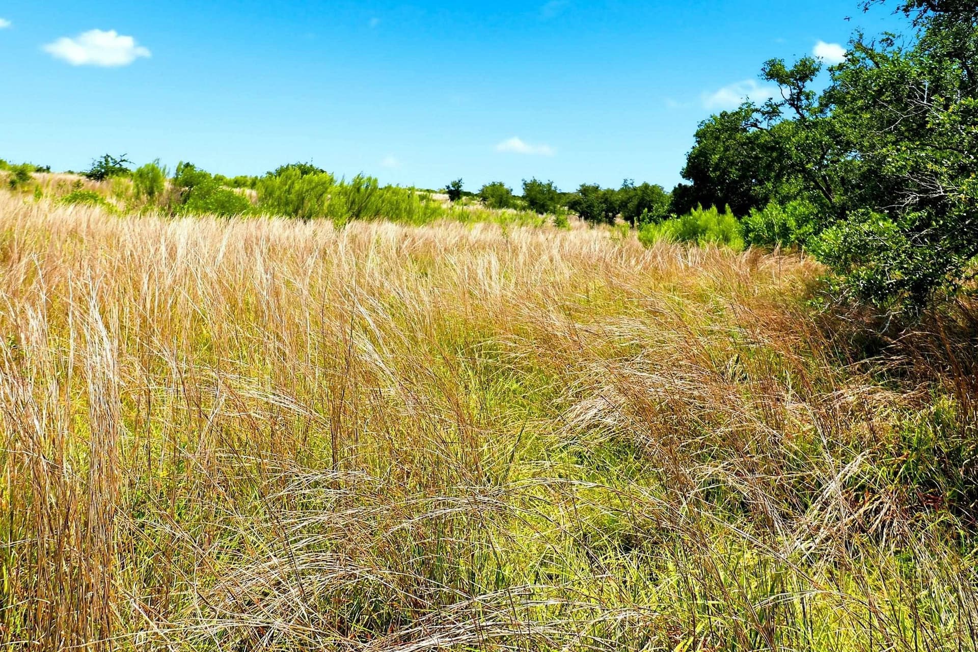 10 acres in Burnet County - photo 32