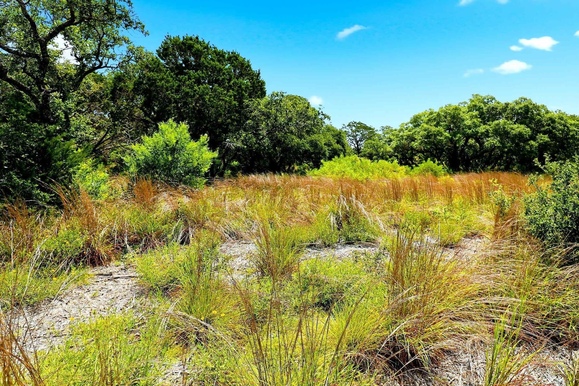 10 acres in Burnet County - photo 33