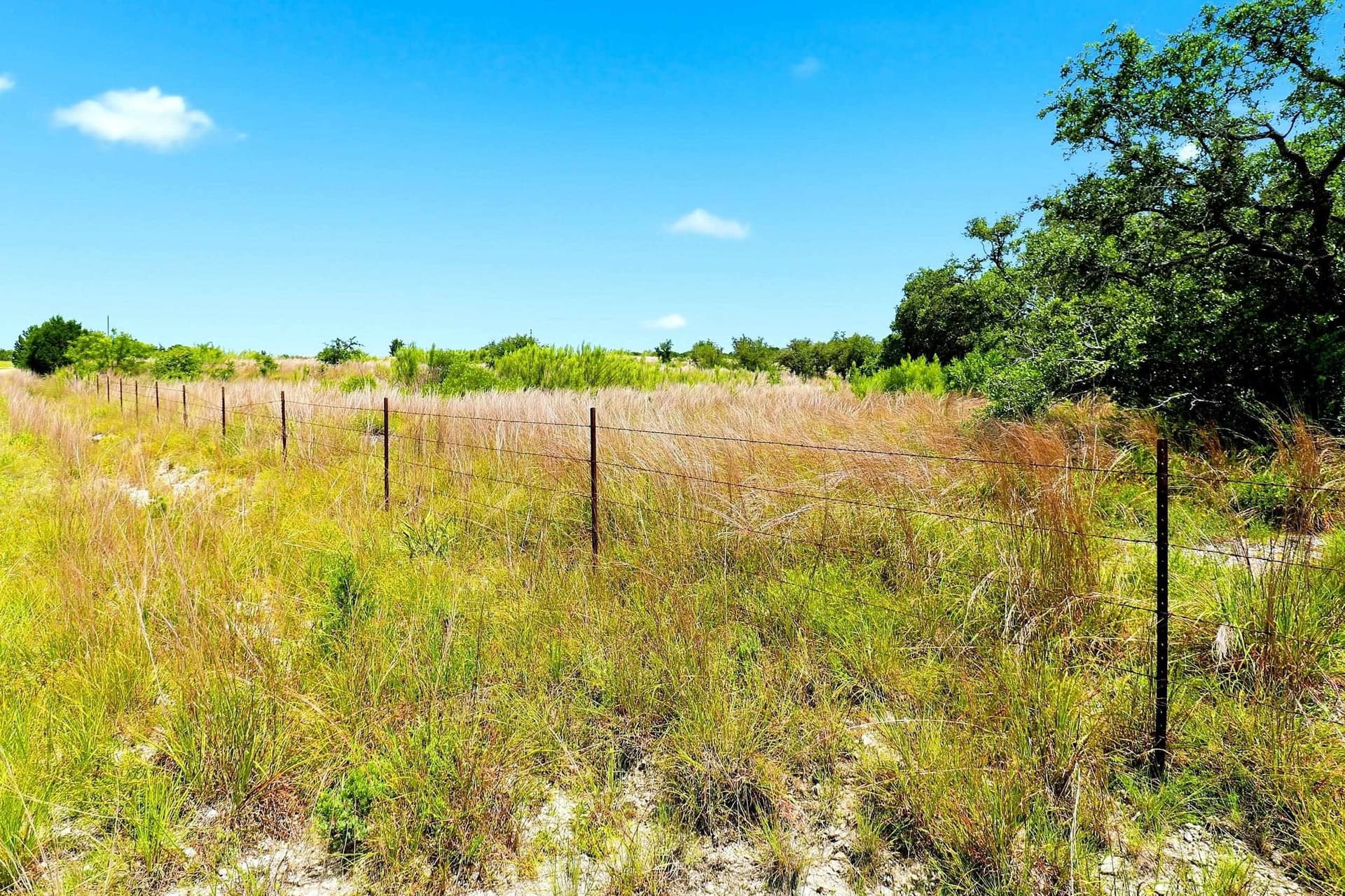 10 acres in Burnet County - photo 31