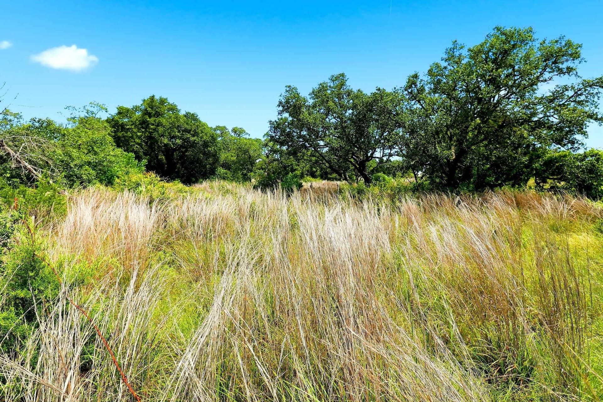 10 acres in Burnet County - photo 27