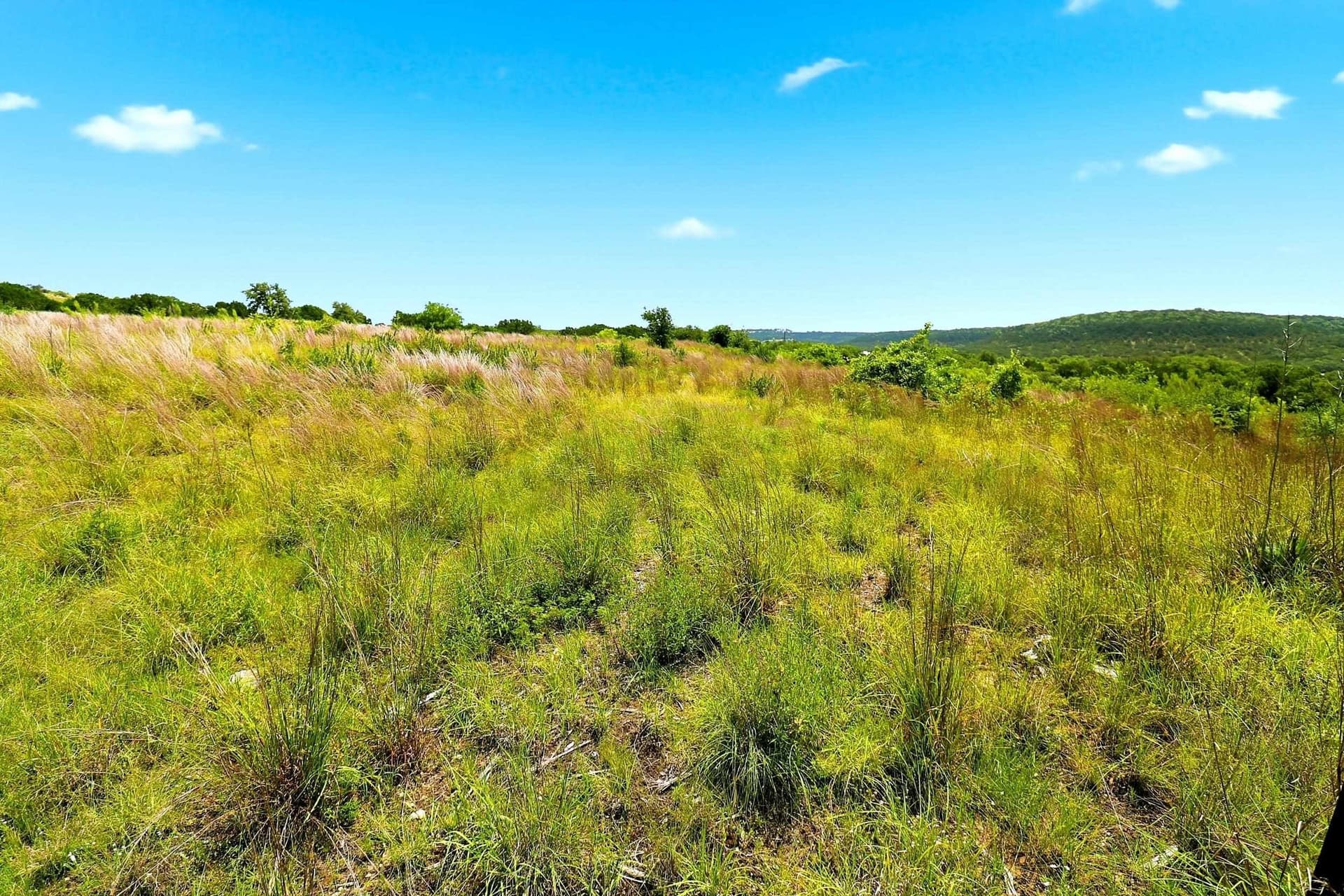 10 acres in Burnet County - photo 36