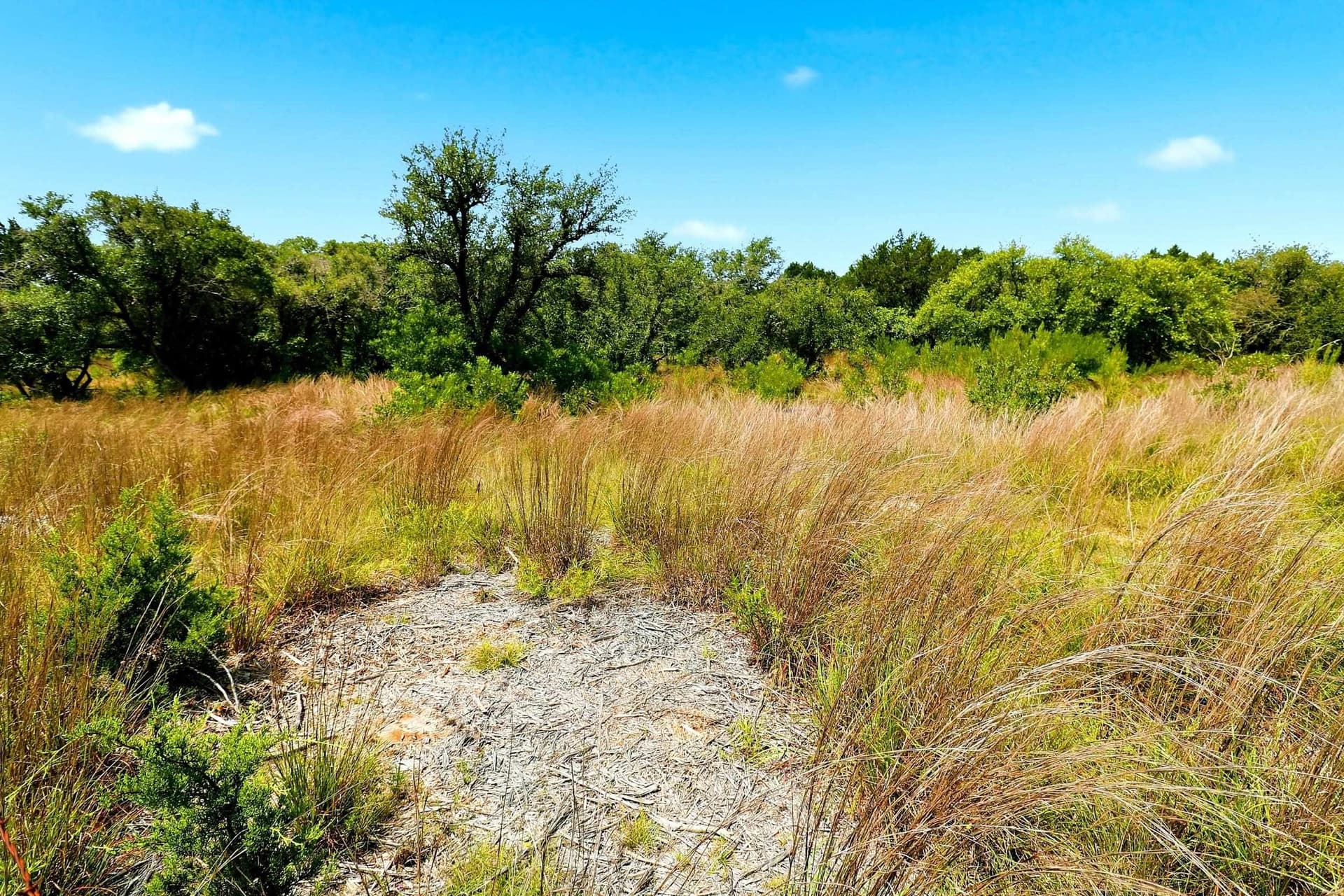 10 acres in Burnet County - photo 21
