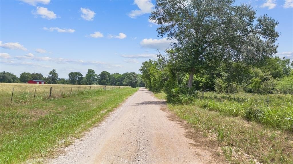 11.46 acres in Burleson County gallery image 3