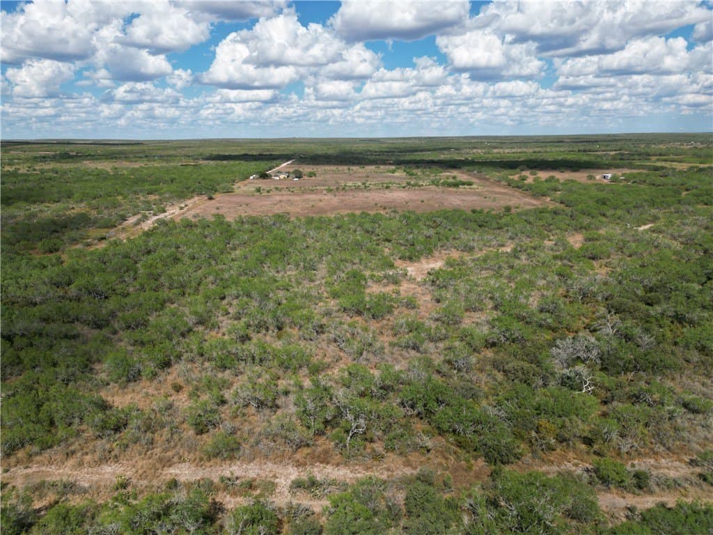 52.54 acres in Duval County - photo 4