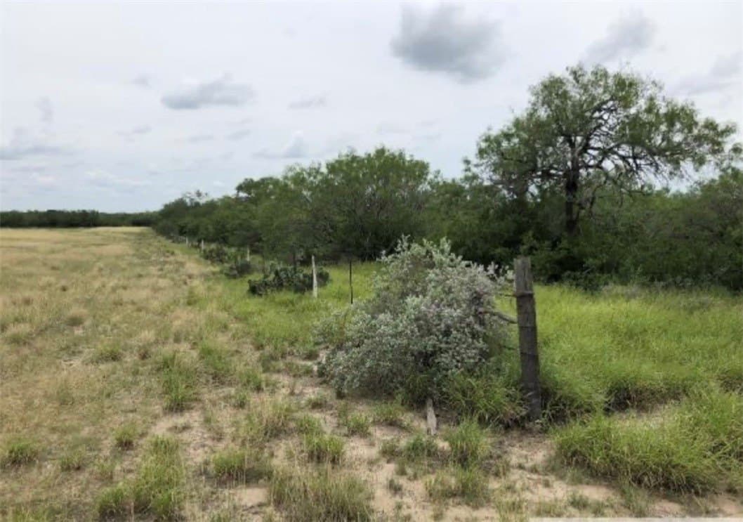 52.54 acres in Duval County - photo 10