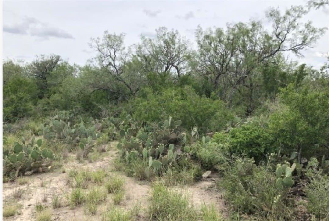 52.54 acres in Duval County - photo 13