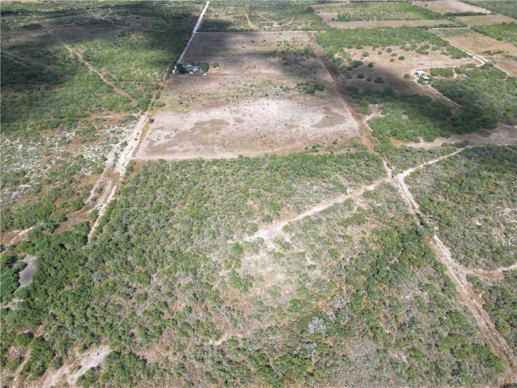 52.54 acres in Duval County - photo 3