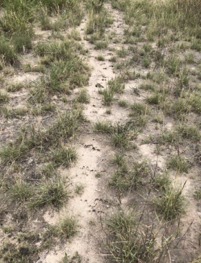 52.54 acres in Duval County - photo 12
