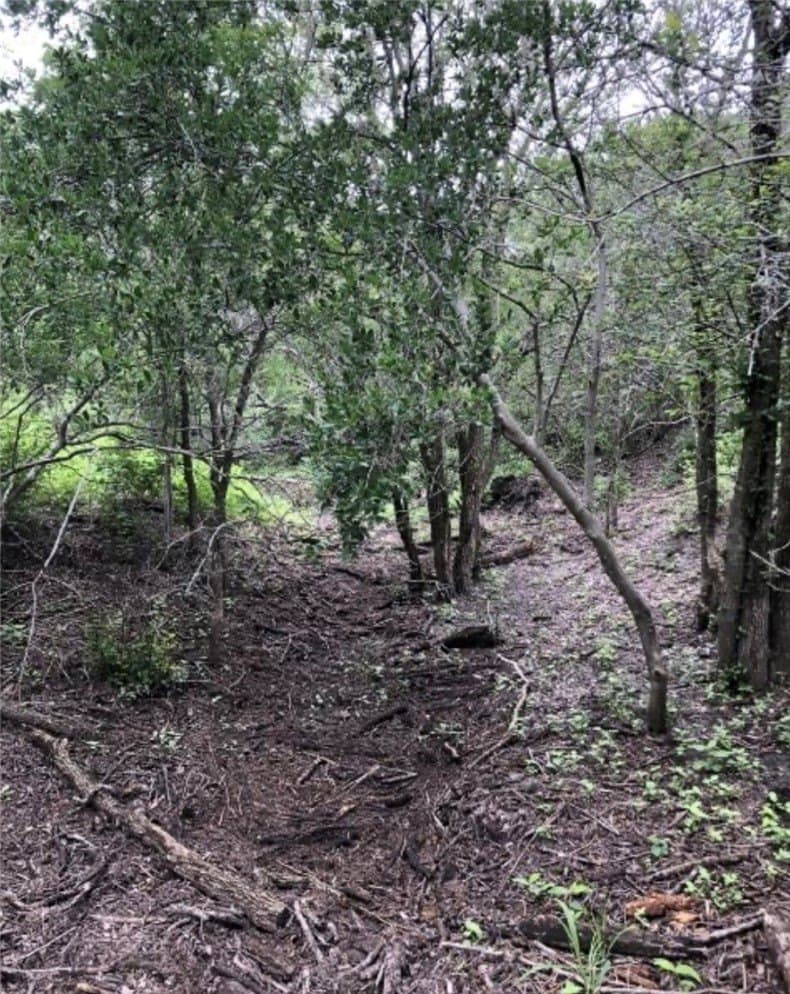 52.54 acres in Duval County - photo 9