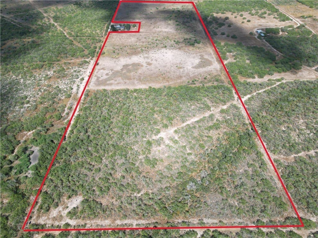 52.54 acres in Duval County - photo 2