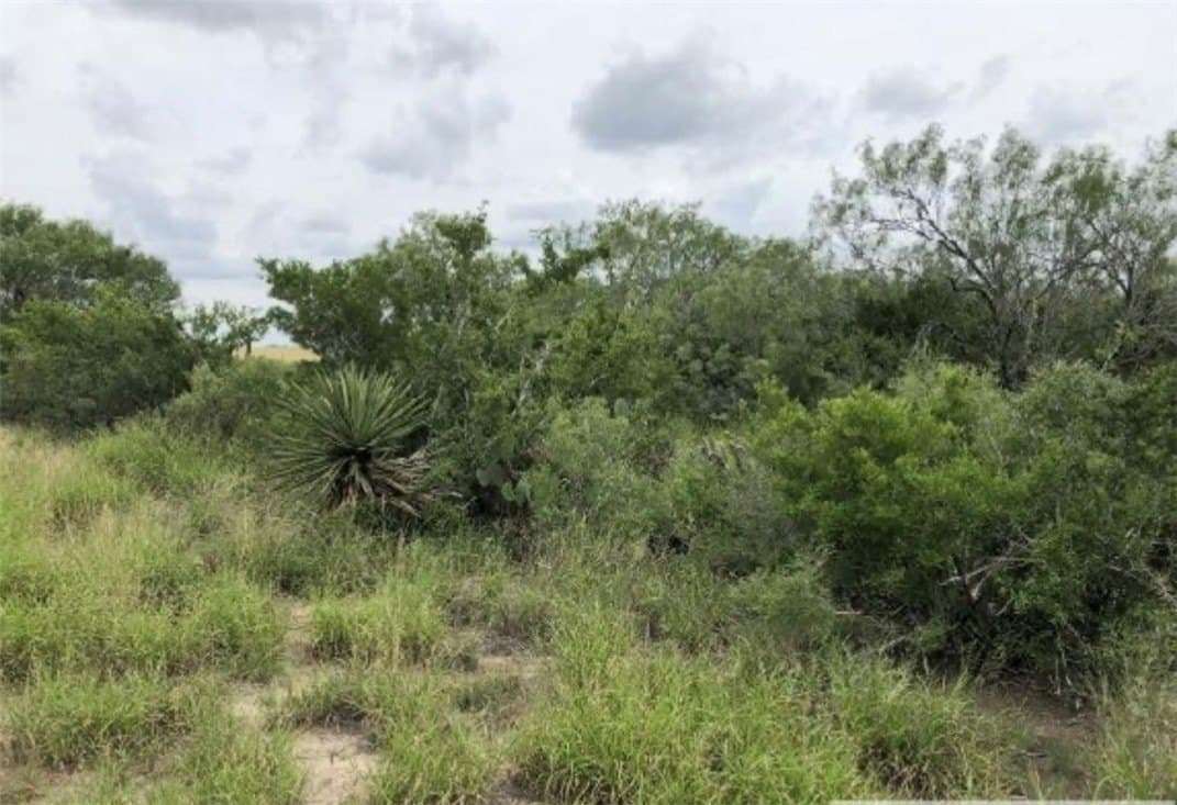 52.54 acres in Duval County - photo 14