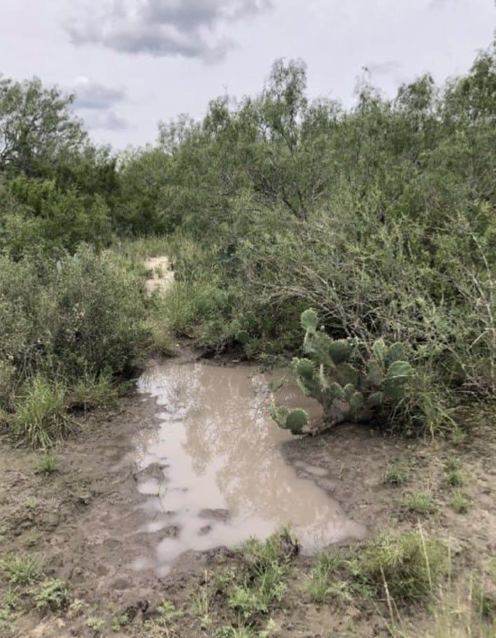 52.54 acres in Duval County - photo 7