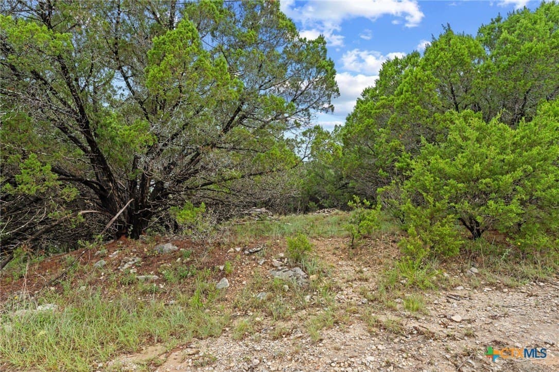0.25 acres in Travis County - photo 13