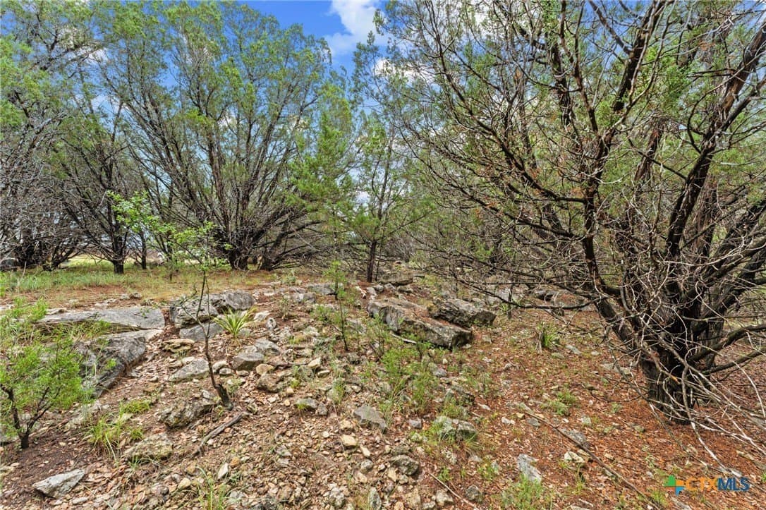 0.25 acres in Travis County - photo 12