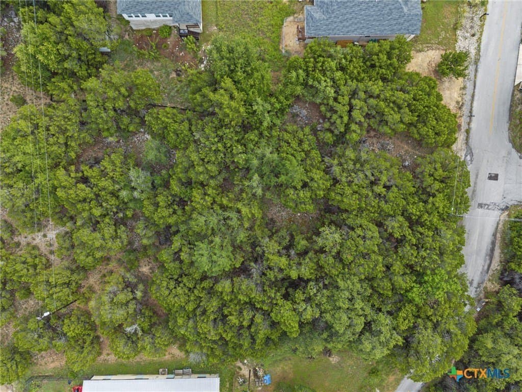 0.25 acres in Travis County - photo 15